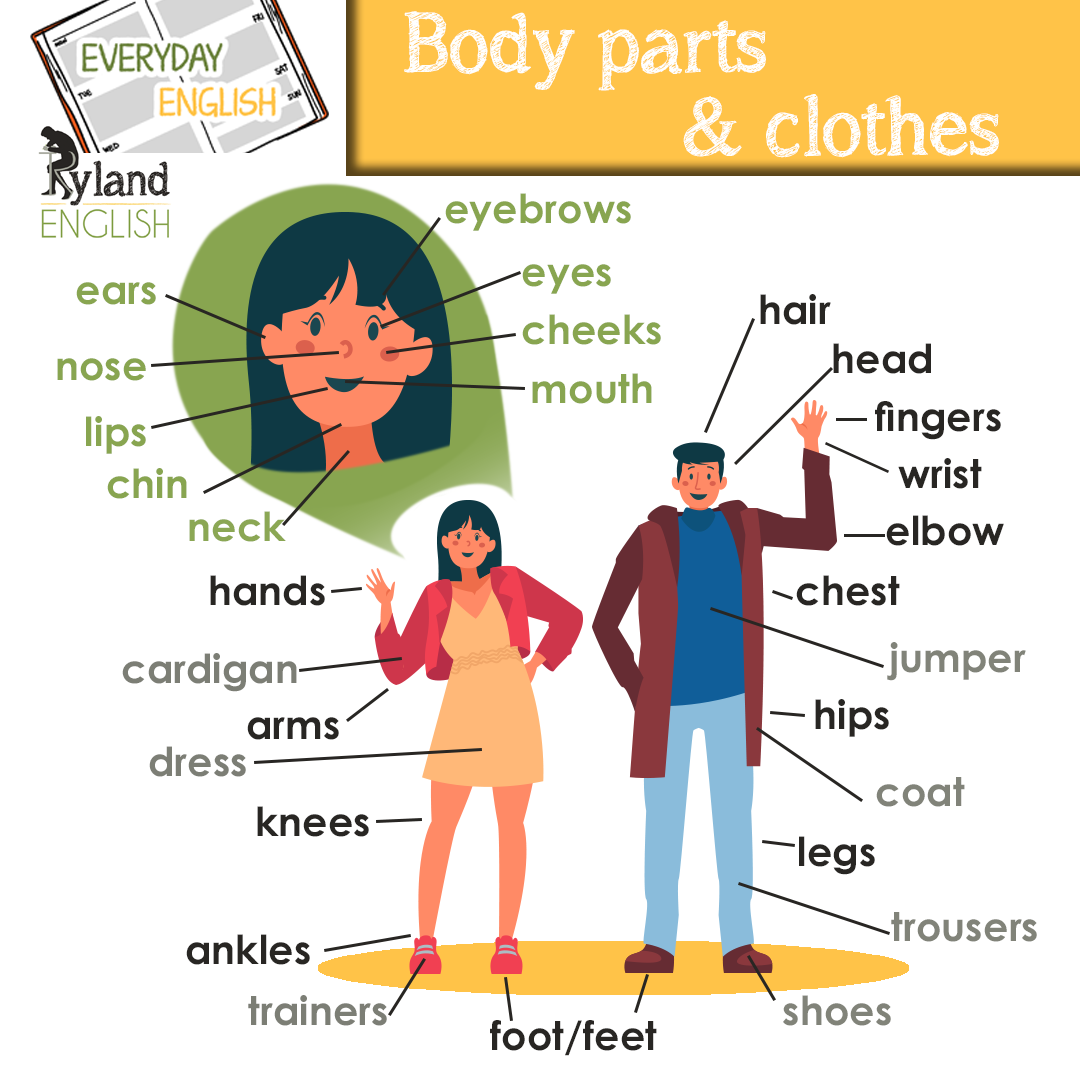 Body parts and clothes